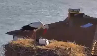 Yaren Leylek, eşi Nazlı ile de buluştu