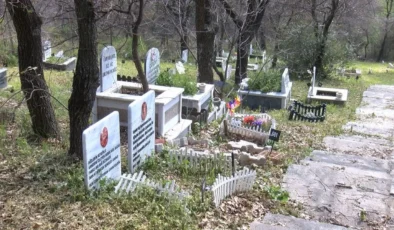 Türkiye'nin ilk evcil hayvan mezarlığına bayram ziyareti