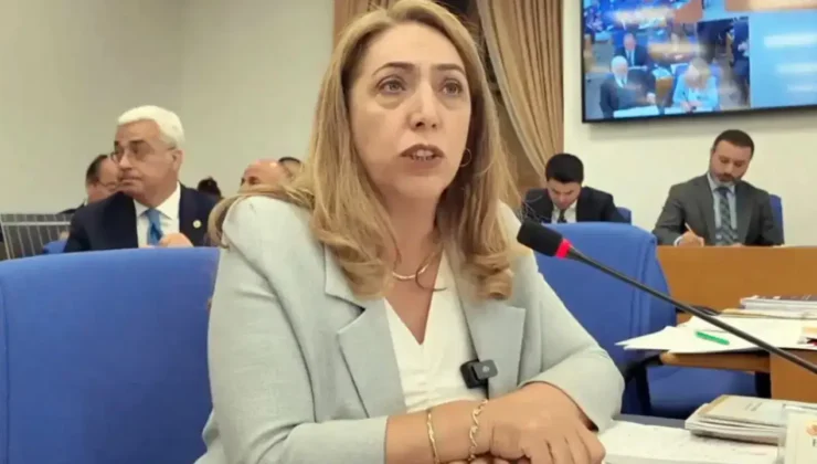 DEM Parti Saliha Aydeniz hakkında soruşturma süreci başlattı