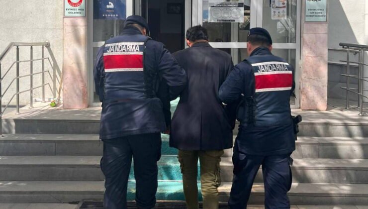 Kan donduran olay… Köpeği asarak öldüren kişi gözaltına alındı