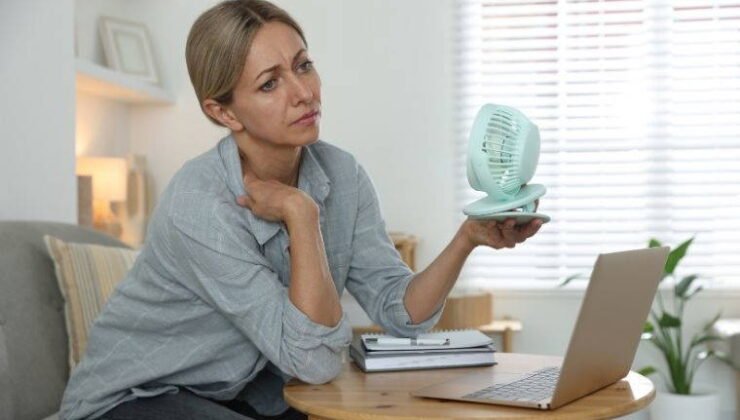 Hormonal dengeyi destekleyen lezzetler: Menopoz belirtilerini azaltmaya yardımcı 7 besin