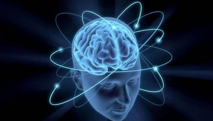 Beyin hakkında bildiklerinizi unutun: Yetişkinlikte de gelişmeye devam ediyor!