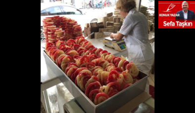 Zülbiye: Bir yüzü kızıl, bir yüzü başak sarısı…