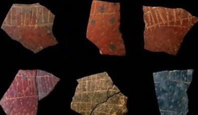 İnsanlığın ilk geometrik çizimleri bulundu: Yumurta kabuğunda 60 bin yıllık izler