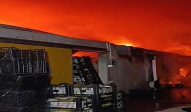 Antalya'da muz paketleme ve sarartma tesisinde yangın