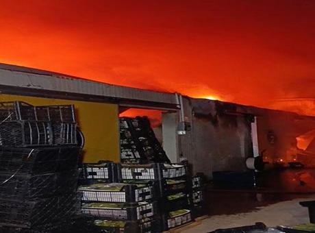 Antalya'da muz paketleme ve sarartma tesisinde yangın