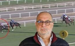 Şampiyon yarış atı kavurma yapılan iş insanına ceza: İyilik yapalım derken kötülüğe vesile olduk