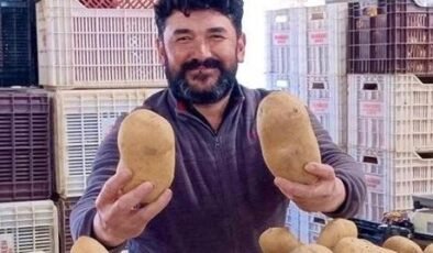 Pazarda gören dönüp bir daha bakıyor! Tek patatesle 4 kişilik yemek çıkıyor
