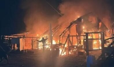 Bursa'daki çiftlikte feci yangın! 580 hayvan öldü