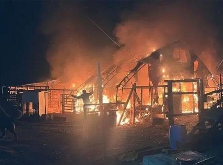 Bursa'daki çiftlikte feci yangın! 580 hayvan öldü