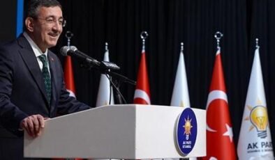 Cumhurbaşkanı Yardımcısı Cevdet Yılmaz: Bölgemizdeki yangının sönmesi için çaba sarf ediyoruz