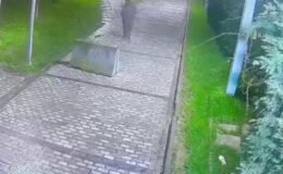 Parkta bulduğu telefonu cebine attı! Kameraya yakalandı