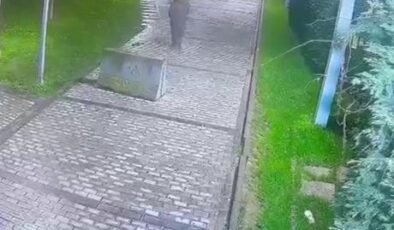 Parkta bulduğu telefonu cebine attı! Kameraya yakalandı