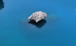 Antalya kıyılarında sürüler halinde ortaya çıktı! Vatandaşlara 'uzak durun' uyarısı