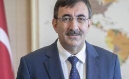 Cumhurbaşkanı Yardımcısı Yılmaz'dan 'Nevruz Bayramı' mesajı