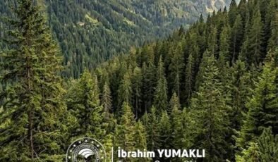 Bakan Yumaklı, Dünya Ormancılık Günü ve Orman Haftası'nı kutladı