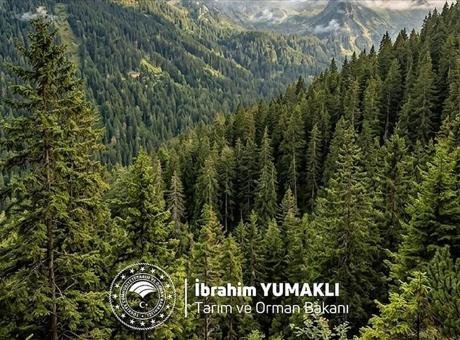 Bakan Yumaklı, Dünya Ormancılık Günü ve Orman Haftası'nı kutladı