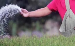 Hürmüz krizi küresel gübre arzını tehdit ediyor