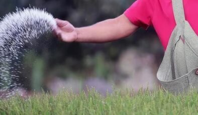 Hürmüz krizi küresel gübre arzını tehdit ediyor
