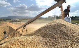 TMO yeni hasat sezonu öncesi hububat satış politikası belirledi
