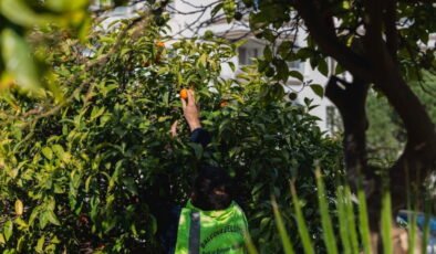 Balçova Belediyesi'nden Türkiye’ye örnek bir dayanışma hikâyesi