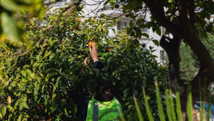 Balçova Belediyesi'nden Türkiye’ye örnek bir dayanışma hikâyesi