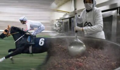 CHP'li Kış'tan Bakan Yumaklı'ya 'kesilen yarış atı' sorusu