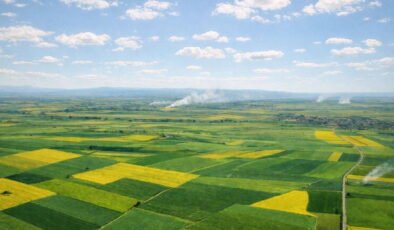 Alpu Ovası’nda bir hukuk zaferi daha: Tarım arazilerinin sanayi amaçlı kullanımına mahkemeden 'dur' kararı