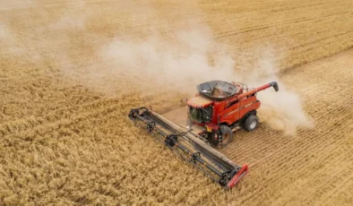 TÜİK verileri yayımlandı: Tarımda maliyet fırtınası dinmiyor