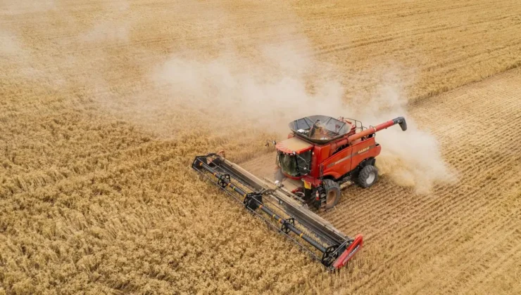 TÜİK verileri yayımlandı: Tarımda maliyet fırtınası dinmiyor
