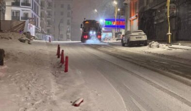 Van'da 143 yerleşim yerinin yolu kardan kapandı
