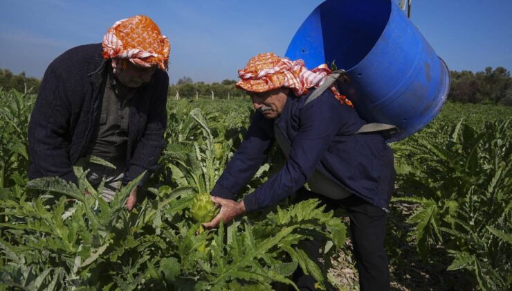 Don vurdu, yağmur kurtardı: Talep yüksek, fiyatı 40 lira!