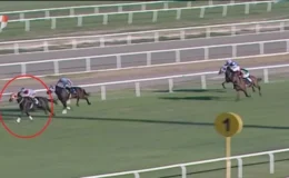 Kavurma yapılan atın sahibine de ceza! Sorumsuzluğu affedilmedi