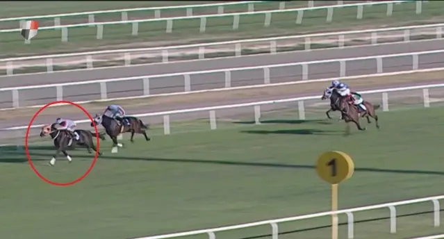 Kavurma yapılan atın sahibine de ceza! Sorumsuzluğu affedilmedi