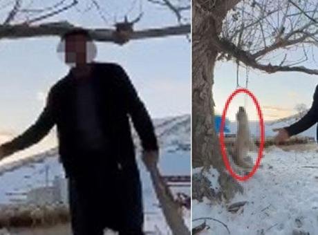 Akılalmaz olay! Çok fazla yediği için köpeğini asarak öldürdü