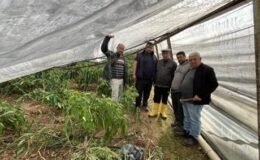 Antalya Kumluca’da hortum felaketi: Seralar zarar gördü, üreticiler sabah hasarı tespit etti