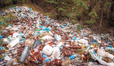 Ormanlar plastik deposuna dönüştü