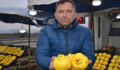 Ayvayı bu sene ayaz vurdu: Fiyat 250 TL’ye çıktı
