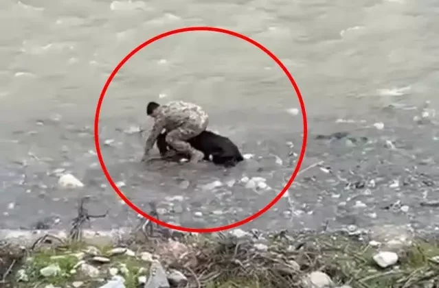 Başrolde polis memuru var: Siirt'te çekilen görüntü Türkiye gündemine oturdu