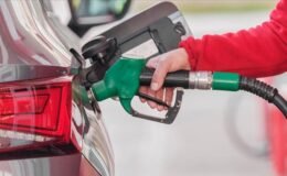 100 kilometreyi 40 liraya gidiyorlar. İşte en tasarruflu araçlar