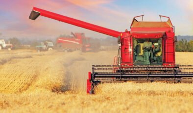 TÜRİB Genel Müdürü Kırali: Fiyatlar yukarı gidiyor tarıma girdi desteği lazım