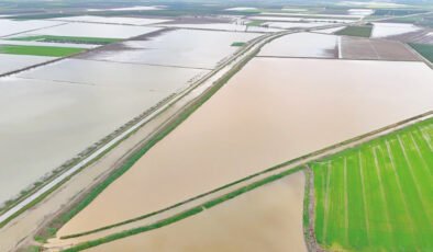 Çukurova’da 20 bin dönüm tarım arazisi sular altında