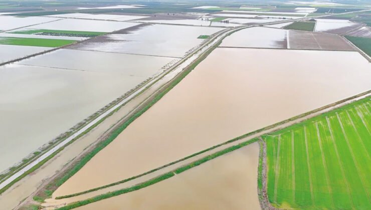 Çukurova’da 20 bin dönüm tarım arazisi sular altında