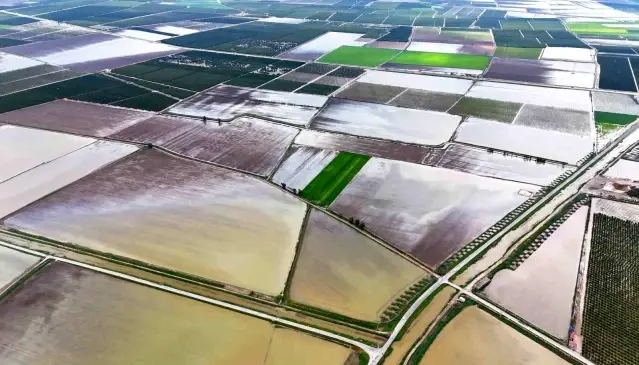 Adana'da aşırı yağış tarım alanlarını olumsuz etkiledi