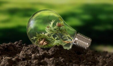 2025’te temiz enerjide sıçrama: Güneş ve rüzgâr zirvede