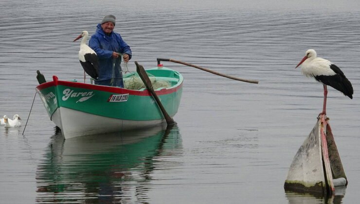 15 yıllık dostluk yeniden buluştu: Adem Amca ile Yaren leylek kavuştu
