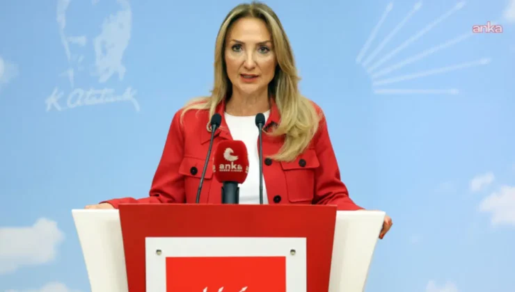CHP'li Nazlıaka: ‘Aile yılında 297 şüpheli ölüm, 294 de kadın cinayeti işlendi’