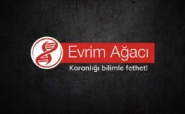 Mart Ayı Bilim ve Teknoloji Haberleri Arşivi