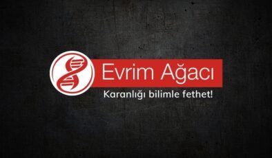 Mart Ayı Bilim ve Teknoloji Haberleri Arşivi
