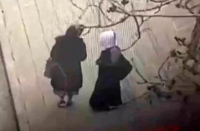 Dilencilik bahanesiyle yaklaştığı kadının çantasını kesip içinden cüzdanını çaldı